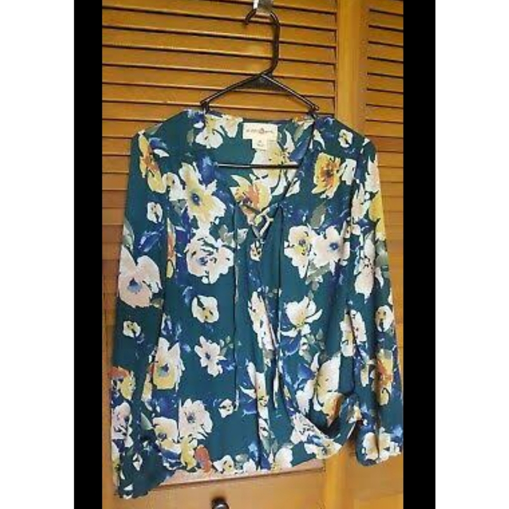 Wishful park blouse